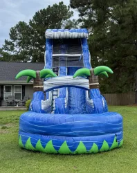 temp img 1 jpeg 552541087 Palmetto Cyclone