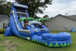 temp img 2 jpeg 337897117 Palmetto Cyclone