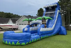 temp img 3 jpeg 413474589 Palmetto Cyclone